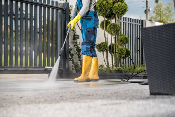 Best Roof Pressure Washing  in East Prairie, MO