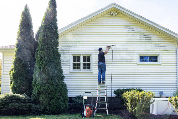 Best Best Pressure Washing Companies  in East Prairie, MO
