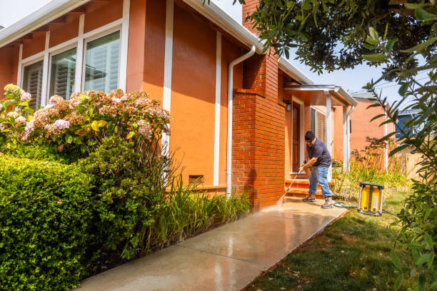 Best Affordable Pressure Washing  in East Prairie, MO