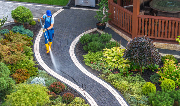 Best Pressure Washing Company Near Me  in East Prairie, MO